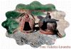 cappdelafuente.gif (175552 byte)