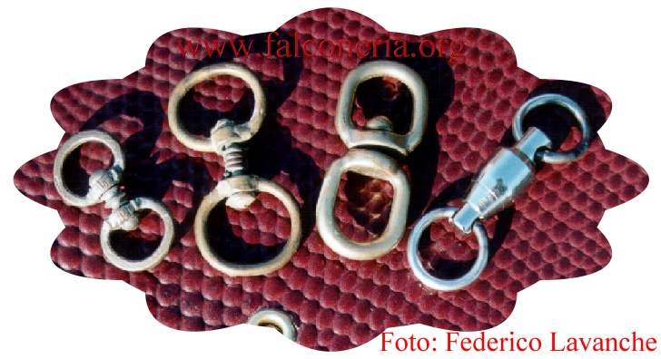 girelle.JPG (128408 byte)