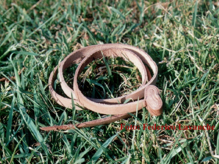 lunga.JPG (239812 byte)