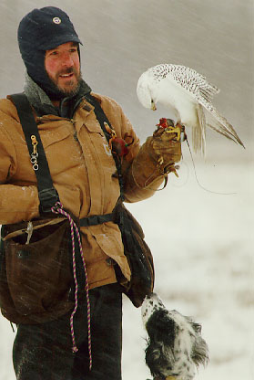 Falconiere canadese