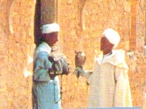 Falconieri tunisini