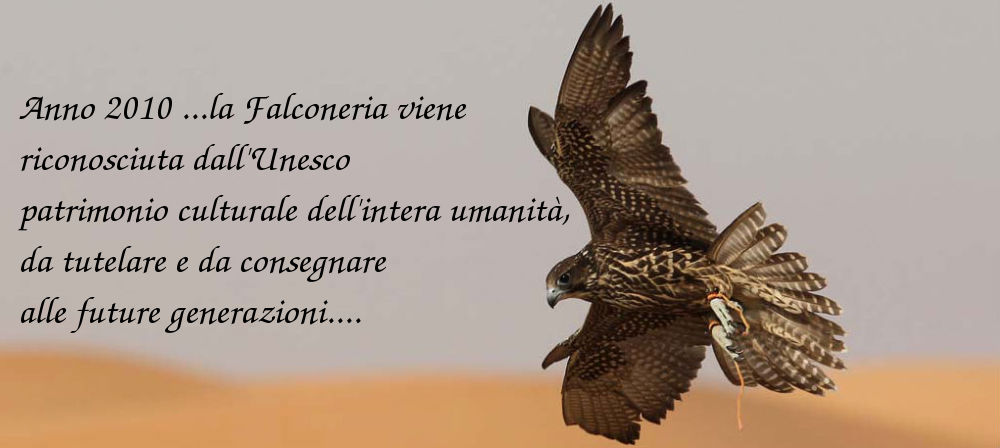 falke2