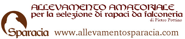 di Pietro Pottino