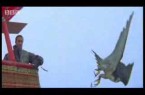 Birds – peregrine falcon dives at 180 mph