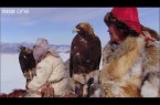 Caccia alla volpe con Aquila Reale