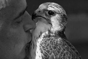 Aspetti etici e scientifici del benessere degli animali e della falconeria
