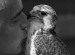 Aspetti etici e scientifici del benessere degli animali e della falconeria