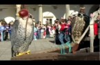 Falconry, a living human heritage
