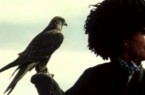 Falconeria in Turkmenistan, Abkhazia and Abjaria
