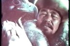 Falconeria in Kyrgyzstan