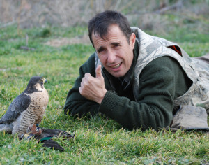 Falconeria in Spagna