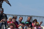 Torna a Tarquinia, dal 31 maggio al 2 giugno, la festa campestre più popolare d’Italia