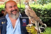 Spettacoli di falconeria e pseudo animalisti