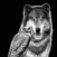 MrWolf