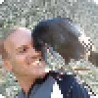 daniele