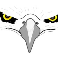 Freedom Quest Falconry