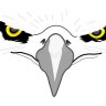 Freedom Quest Falconry