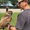 doctorcujo