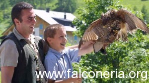 falconeria