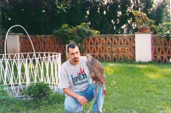 Maddalena (Accipiter Gentilis) sul mio pugno (1999)