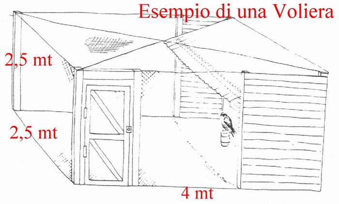 voliera.jpg (36499 byte)
