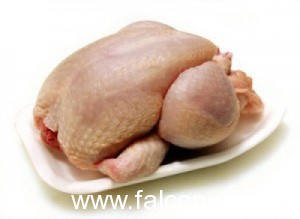 carne pollo