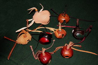 falconry hoods