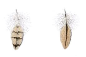 piume