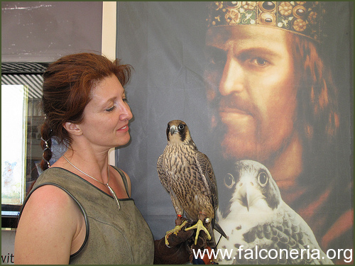 storia falconeria