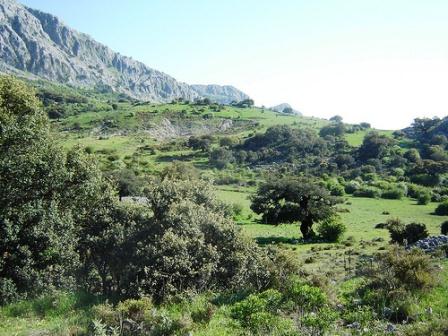 andalucia