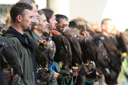falconry_meeting