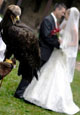 matrimonio_rapace