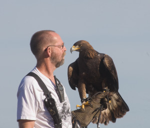 falconiere