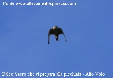 news1009