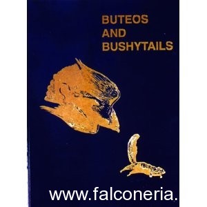 Buteos and bushytails