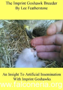 The imprint goshawk breeder