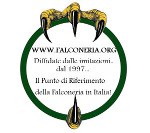 diffidate dalle imitazioni