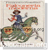falconeria moderna pestellini