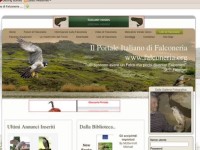 portale 2011