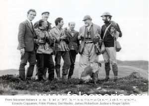 falconieri italiani 1967