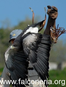 IMG_1649