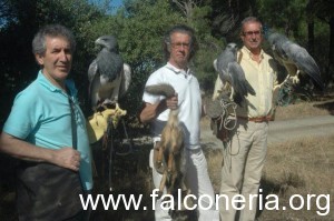 Falconieri spagnoli manuel diego pareja obregon