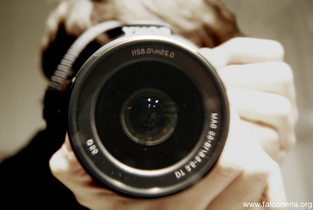 SONY DSC