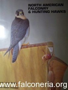 north american falconry and hunting hawks