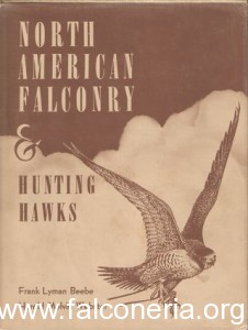 north american falconry and hunting hawks old