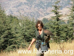 Foto 3 - Passeggiata tra i cedri