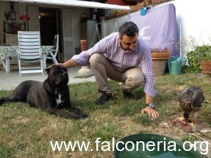 condizionamento astore