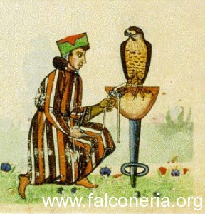 falconiere medioevale