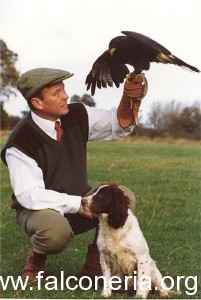 falconiere
