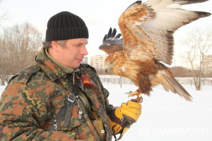 moderno falconiere russo